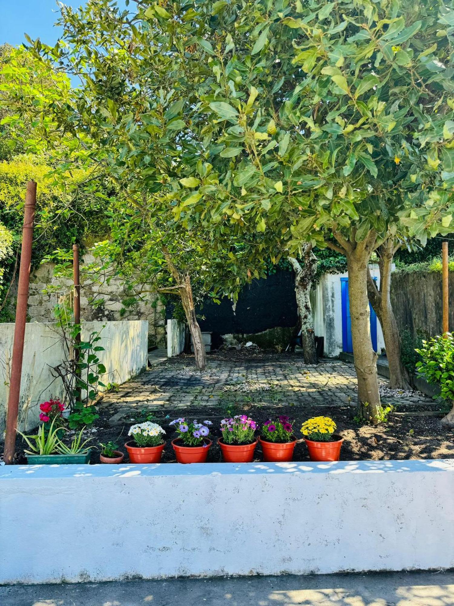 Porto Grand Sasimi House Hotel Buitenkant foto
